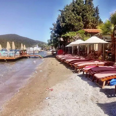 Golkoy
